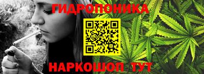 ешки Абакан