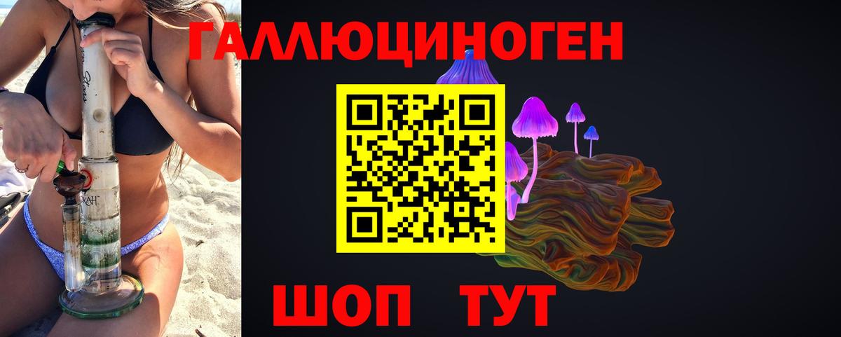 Псилоцибиновые грибы Psilocybe  Псилоцибиновые грибы Psilocybine cubensis  Вход с VPN  Апрелевка 